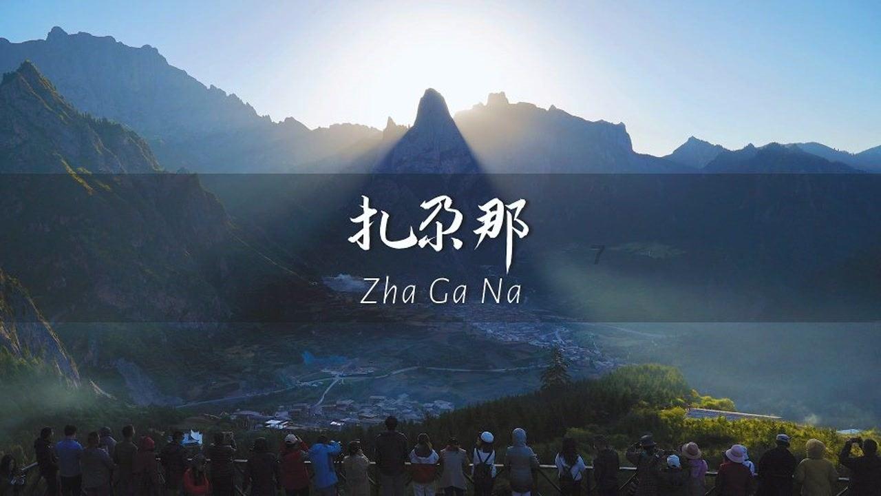 冷知识分享平台-冬天给植物保暖的方法,轻松探索独特的知识宝库